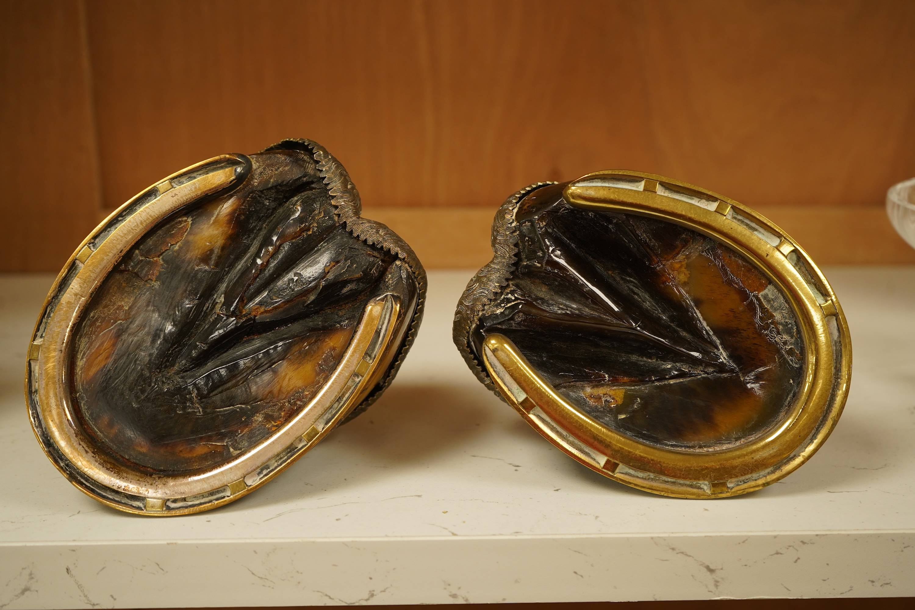 Two Victorian taxidermic horse hoof inkwells with inscriptions to the lids, 13cm wide
